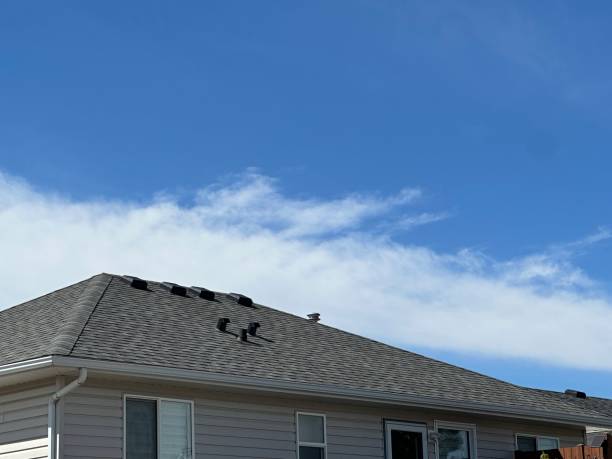 Best Roof Leak Repair  in Bethalto, IL